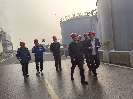 蓝图娱乐 0b2f2